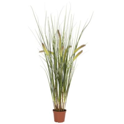 2.5" Grass Plant