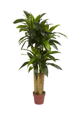Nearly Natural 4-Foot Corn Stalk Dracaena Silk Plant (Real Touch), Green