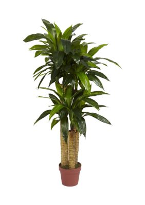 4-Foot Corn Stalk Dracaena Silk Plant (Real Touch)