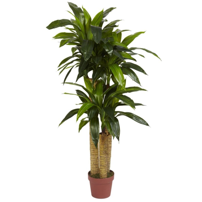 4-Foot Corn Stalk Dracaena Silk Plant (Real Touch)