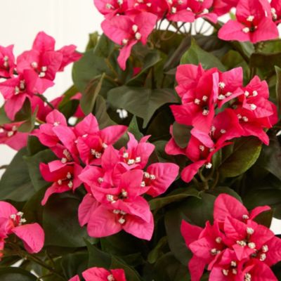 Bougainvillea Silk Plant with Vase