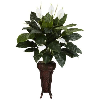 Spathiphyllum with Stand Silk Plant