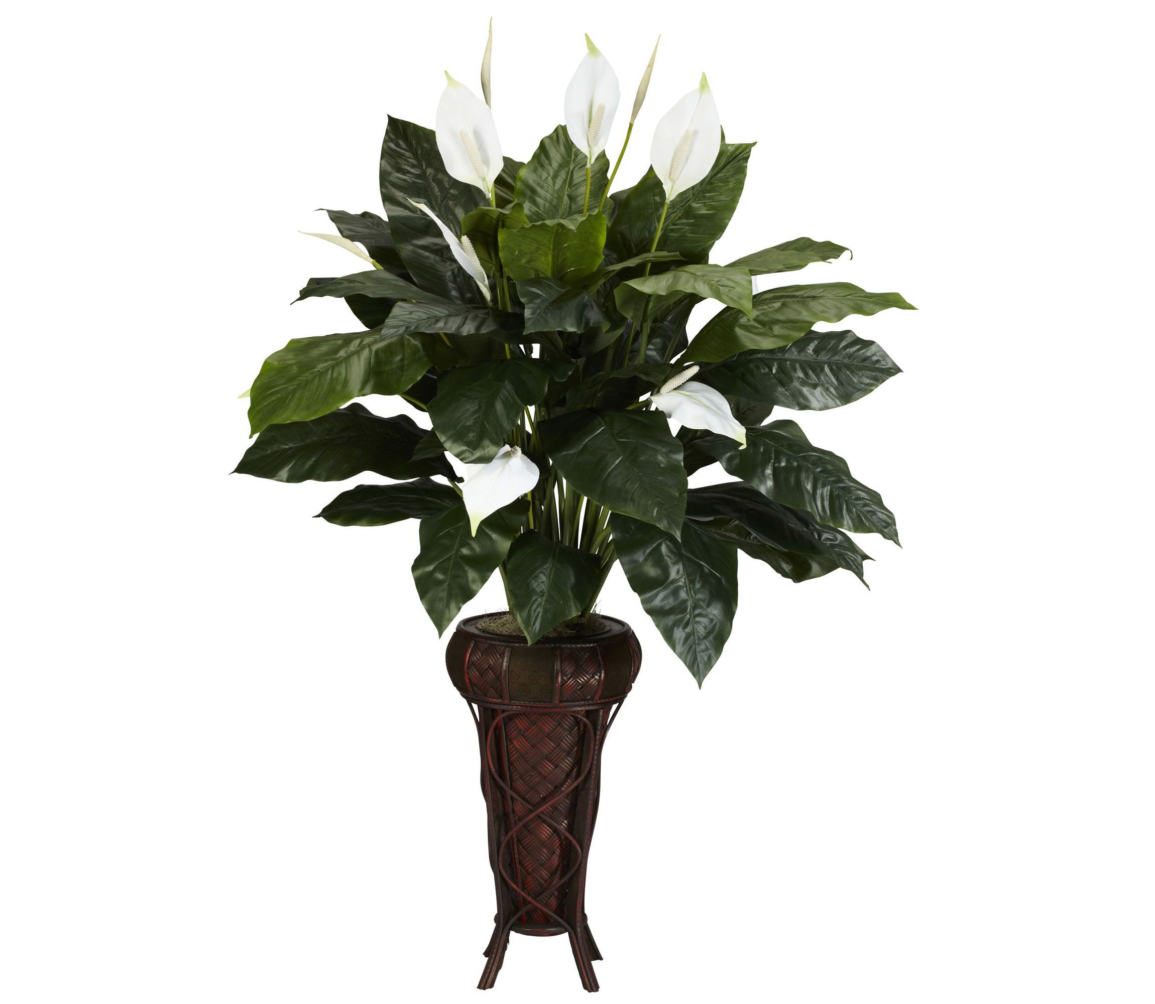 Spathiphyllum with Stand Silk Plant