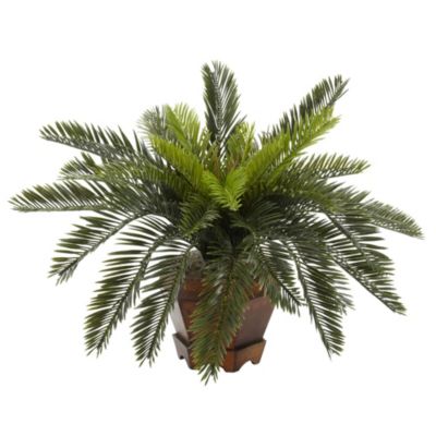 Cycas with Hexagon Vase Silk Plant