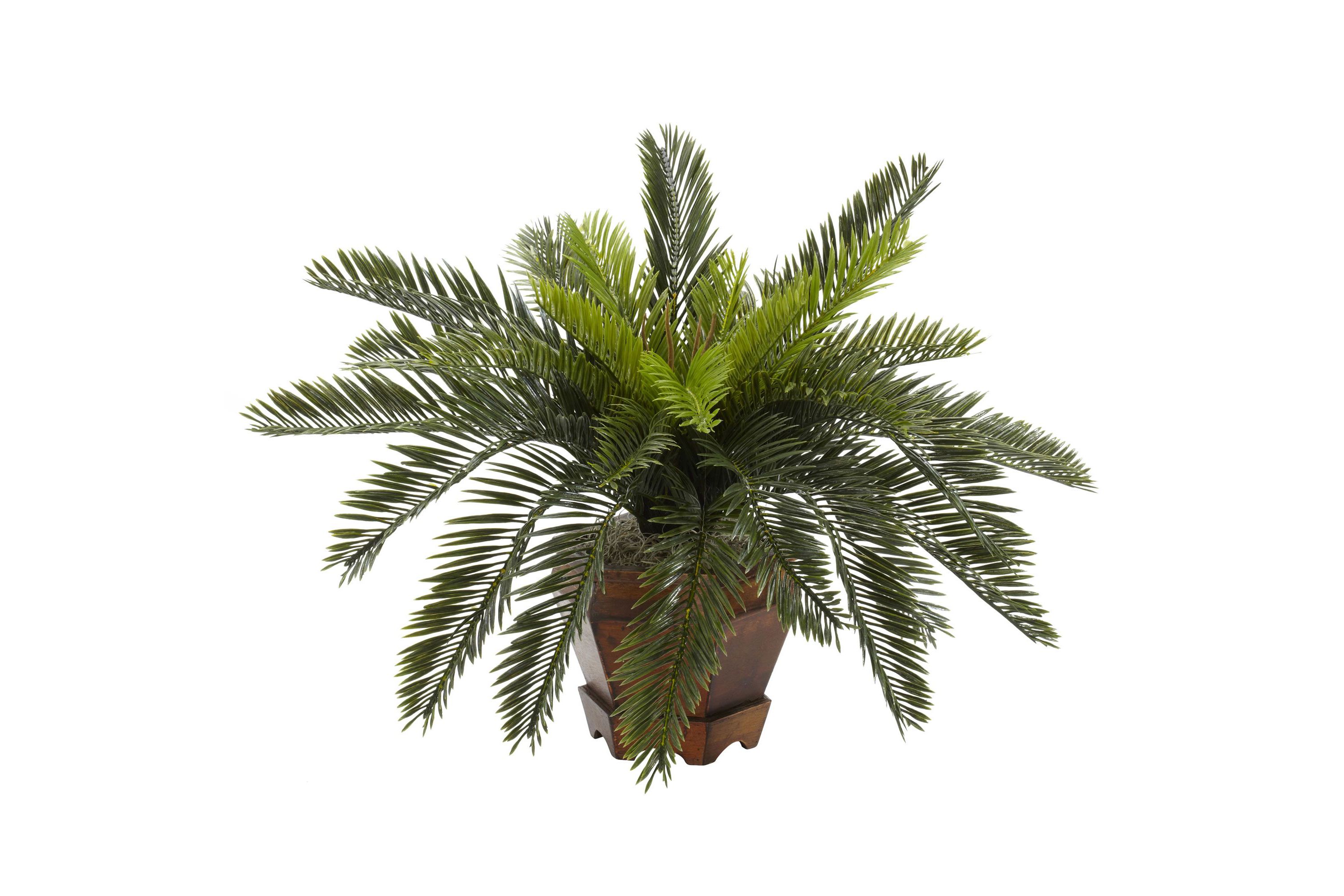 Cycas with Hexagon Vase Silk Plant