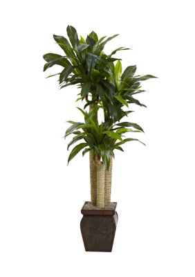 Cornstalk Dracaena Silk Plant with Vase