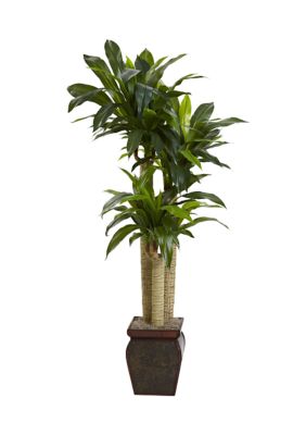 Nearly Natural Cornstalk Dracaena Silk Plant with Vase, Green