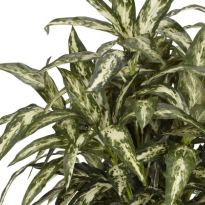 Aglaonema with Decorative Vase Silk Plant