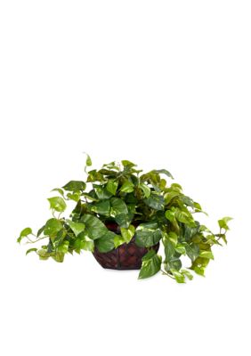 Pothos Silk Plant and Decorative Vase