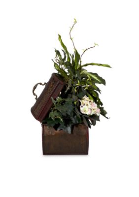 African Violet, Dieffenbachia, and  Ivy Silk Plant with Chest