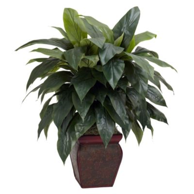Nearly Natural Cordyline with Decorative Vase Silk Plant, Green