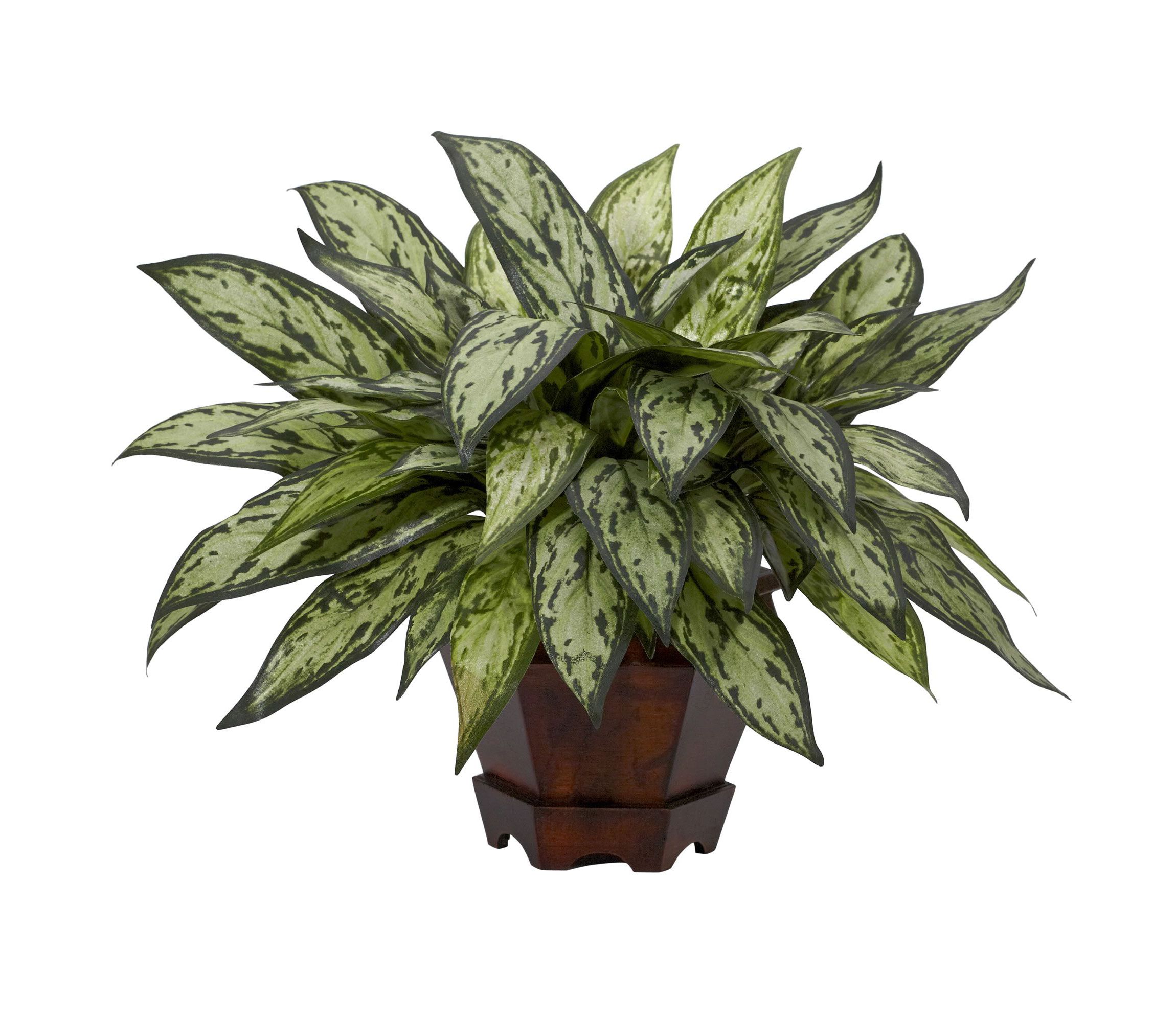 Triple Silver Queen with Hexagon Vase Silk Plant