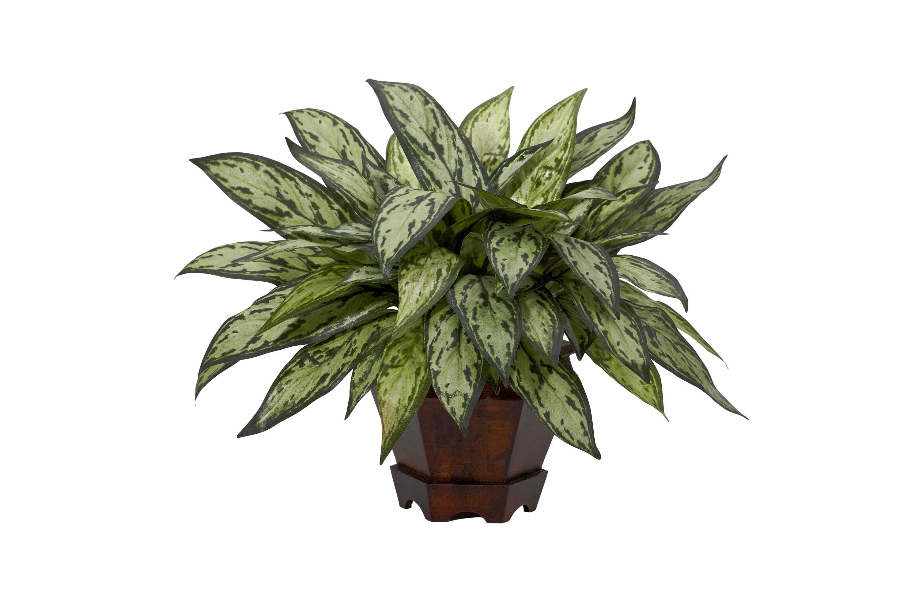 Triple Silver Queen with Hexagon Vase Silk Plant