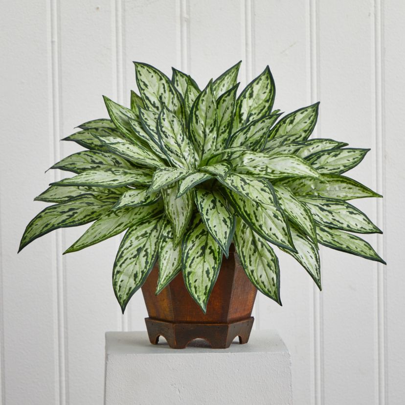 Triple Silver Queen with Hexagon Vase Silk Plant
