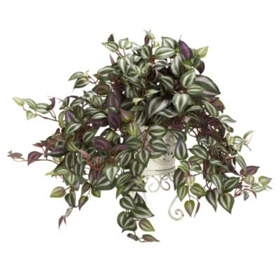 Wandering Jew with Metal Planter Silk Plant