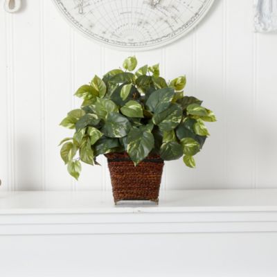 Pothos with Coiled Rope Planter Silk Plant