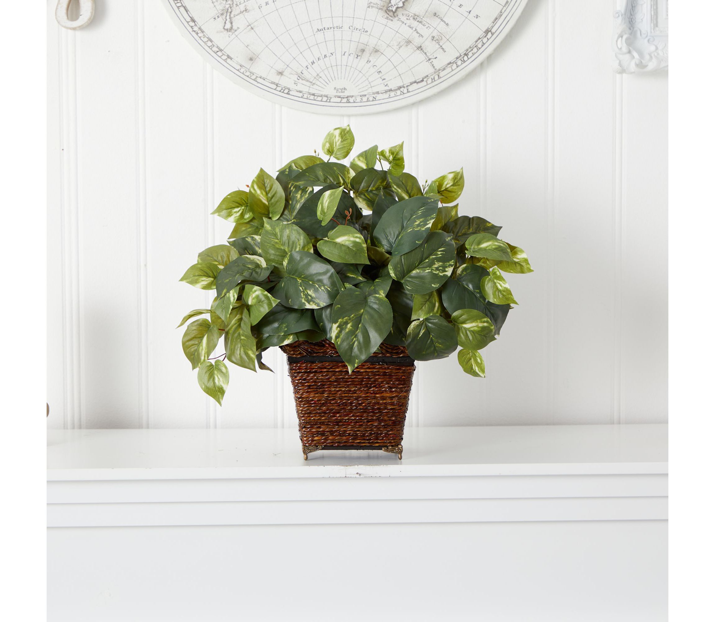 Pothos with Coiled Rope Planter Silk Plant