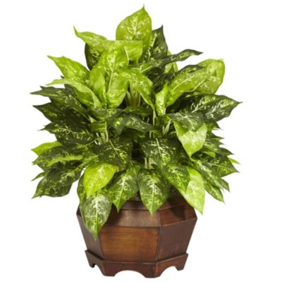 Nearly Natural Variegated Dieffenbachia with Large Hexagon Silk Plant, Green