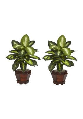 Nearly Natural Dieffenbachia with Wood Vase Silk Plant - Set of 2, Green
