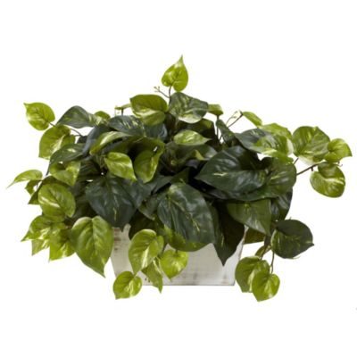 Nearly Natural Pothos with White Wash Planter Silk Plant, Green