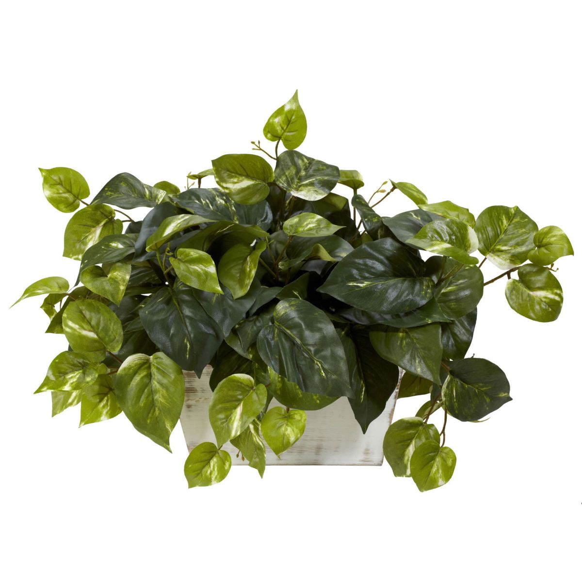 Pothos with White Wash Planter Silk Plant
