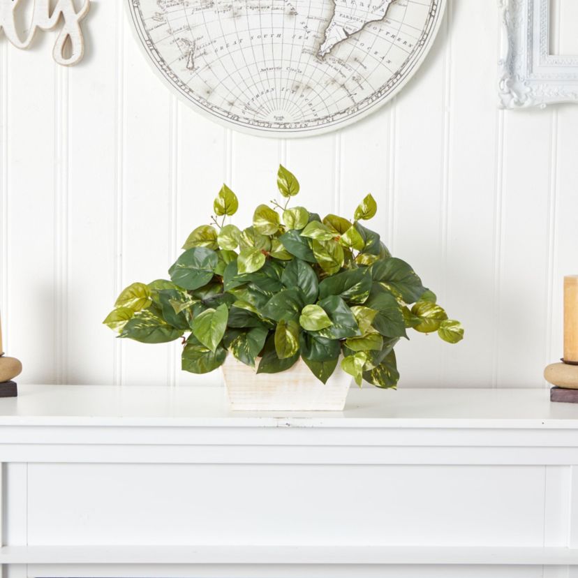 Pothos with White Wash Planter Silk Plant