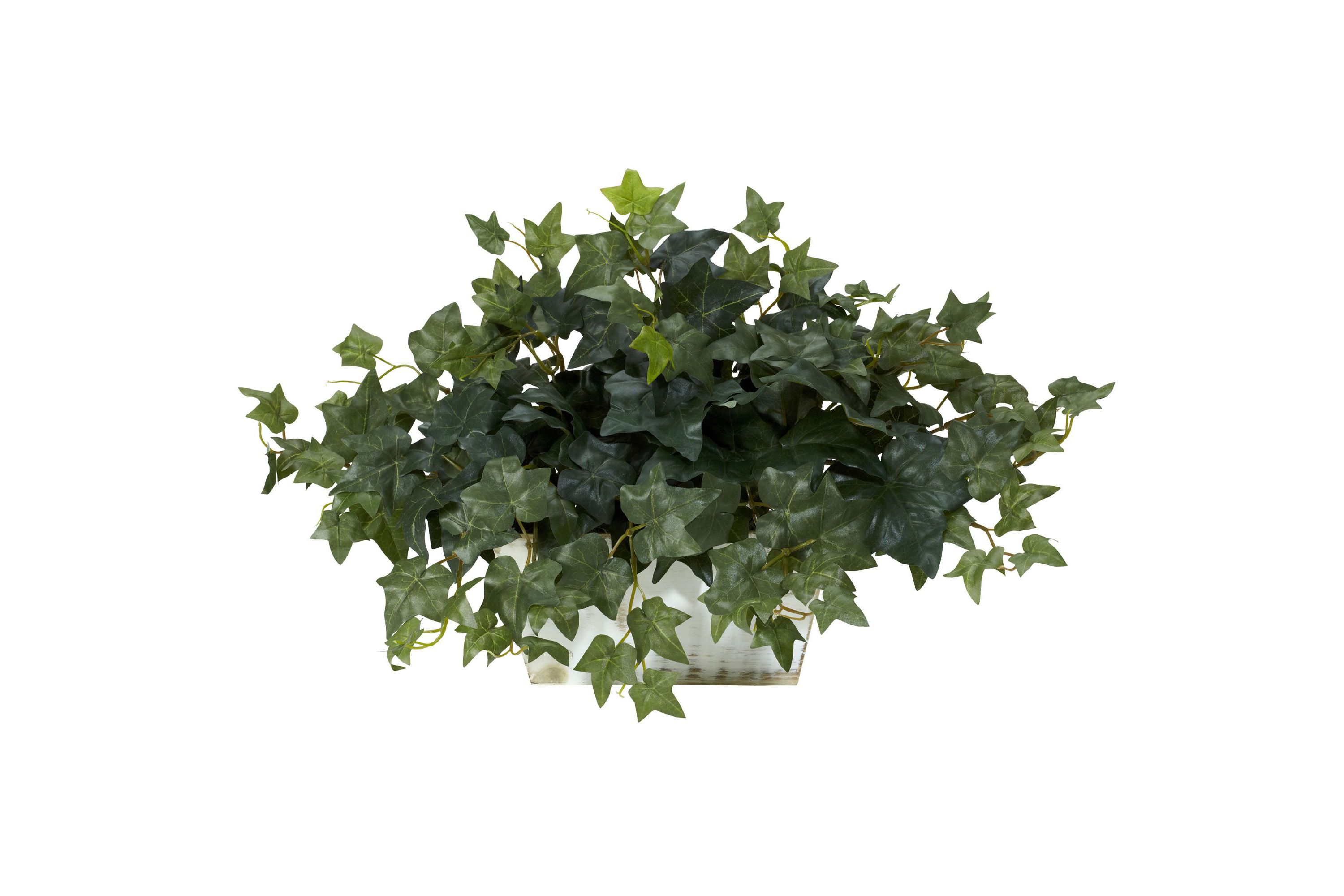 Ivy with White Wash Planter Silk Plant