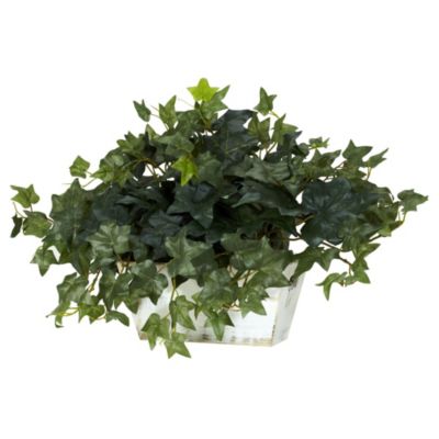 Ivy with White Wash Planter Silk Plant