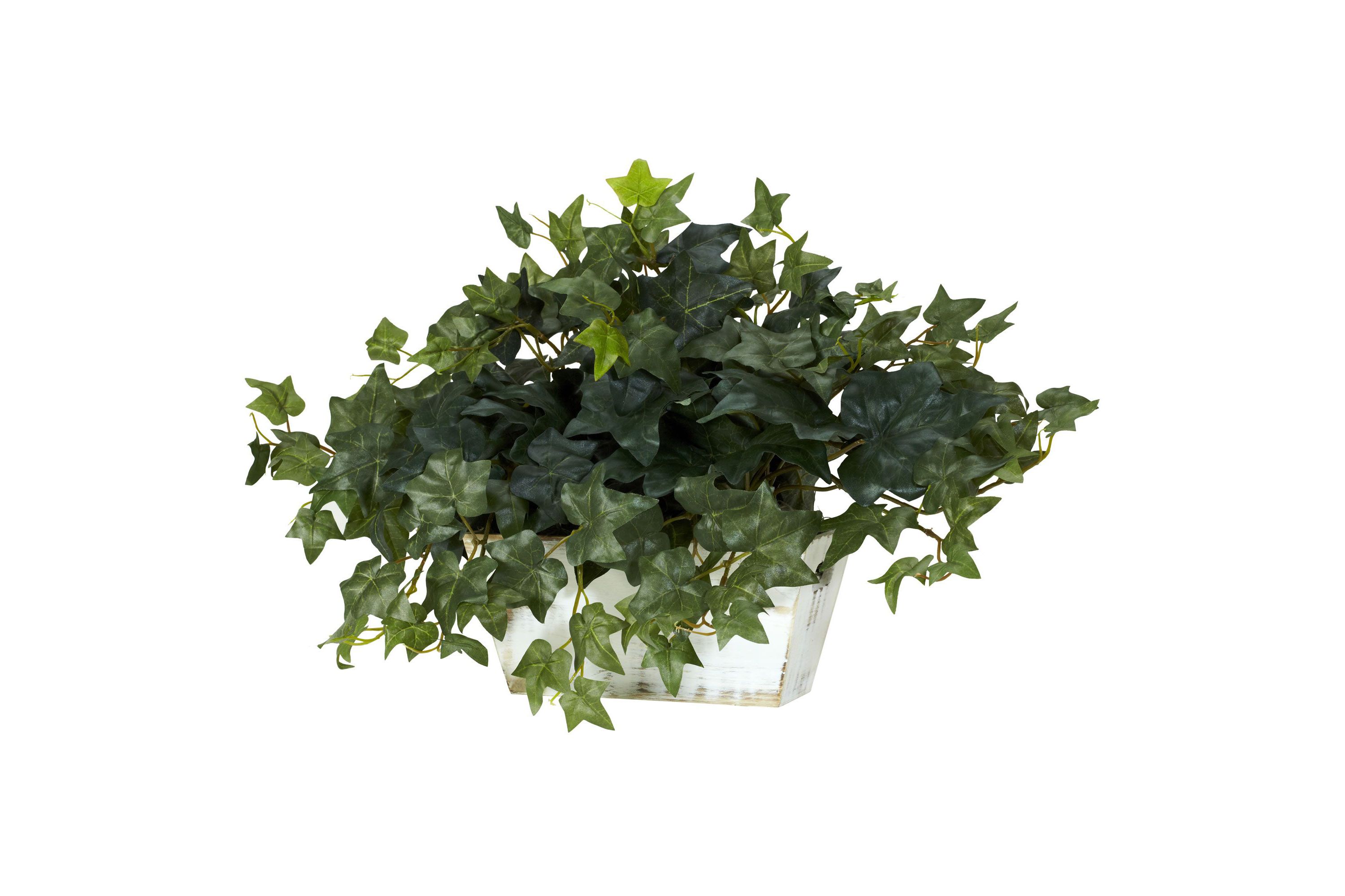 Ivy with White Wash Planter Silk Plant