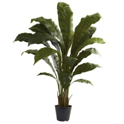 Nearly Natural 3.5' Birds Nest Plant, Green