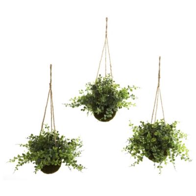 Nearly Natural Set of 3 Eucalyptus, Maiden Hair & Berry Hanging Basket, Green