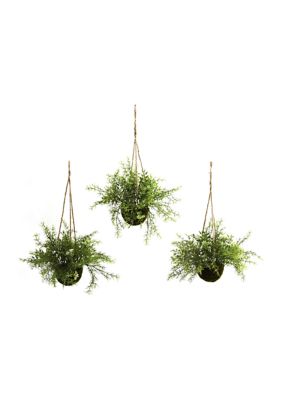 Nearly Natural Mini Ruscus, Sedum and Sperengeri Hanging Basket - Set of 3, Green