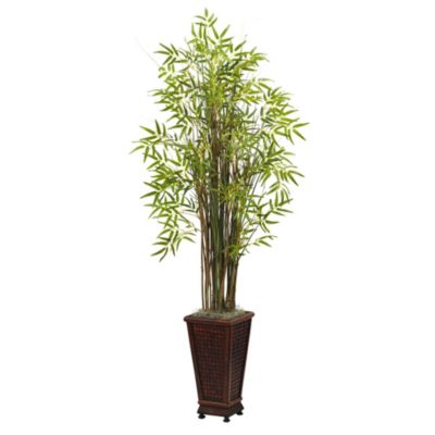 5.5' Grass Bamboo Plant with Decorative Planter