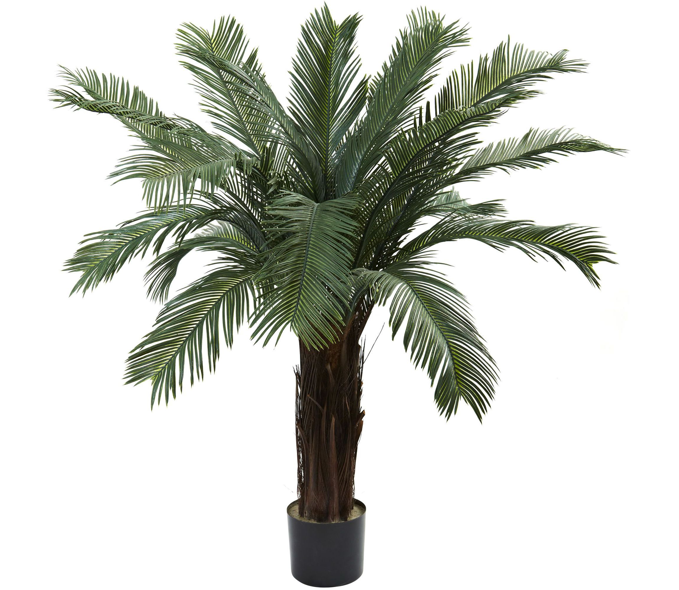 4 UV Resistant Cycas Tree - Indoor/Outdoor