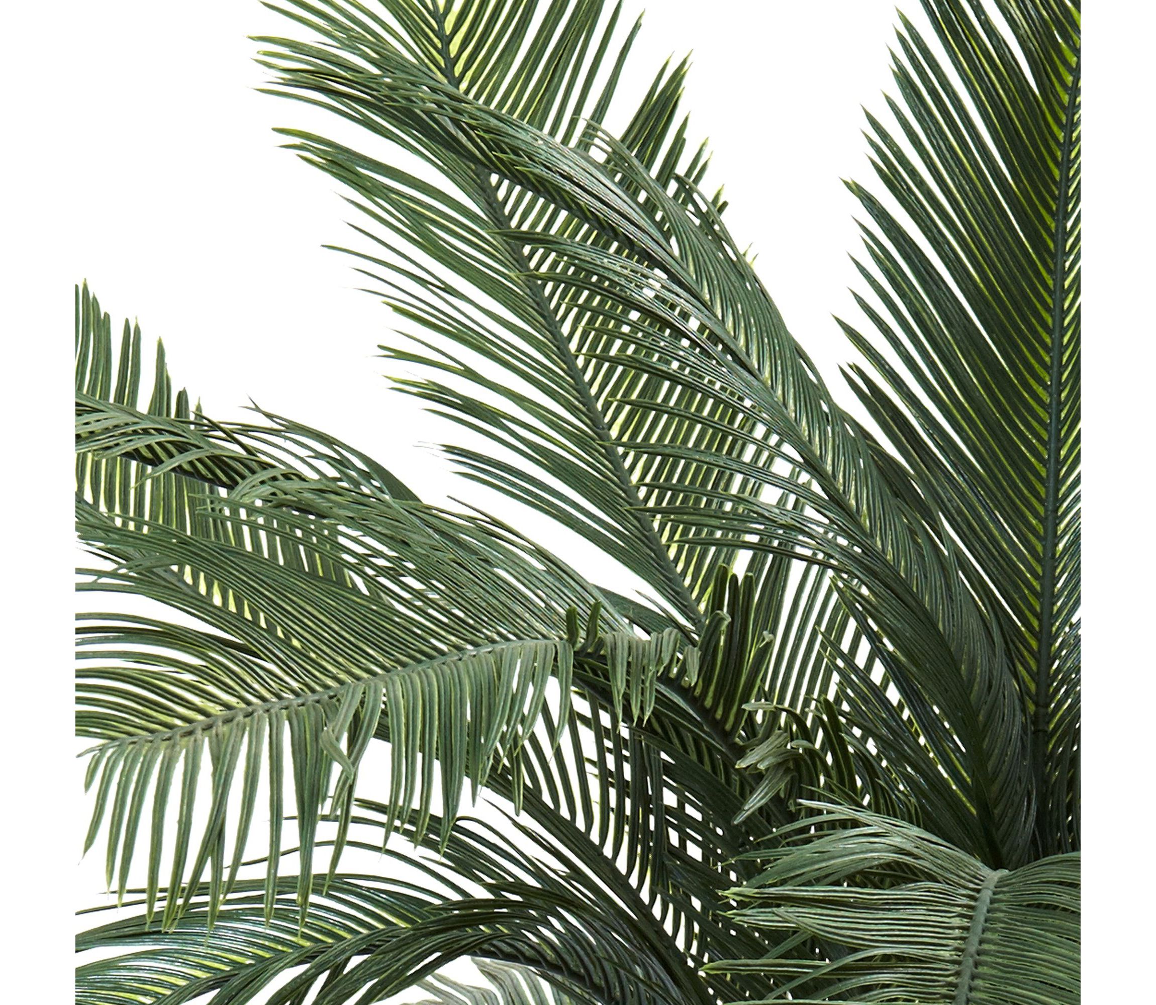 4 UV Resistant Cycas Tree - Indoor/Outdoor