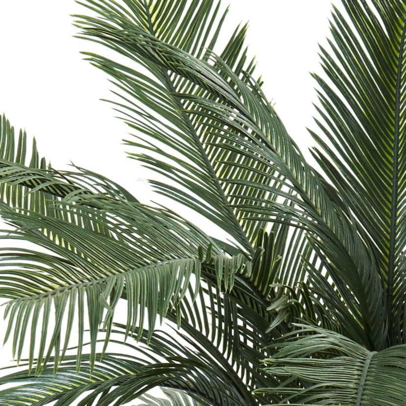 4 UV Resistant Cycas Tree - Indoor/Outdoor
