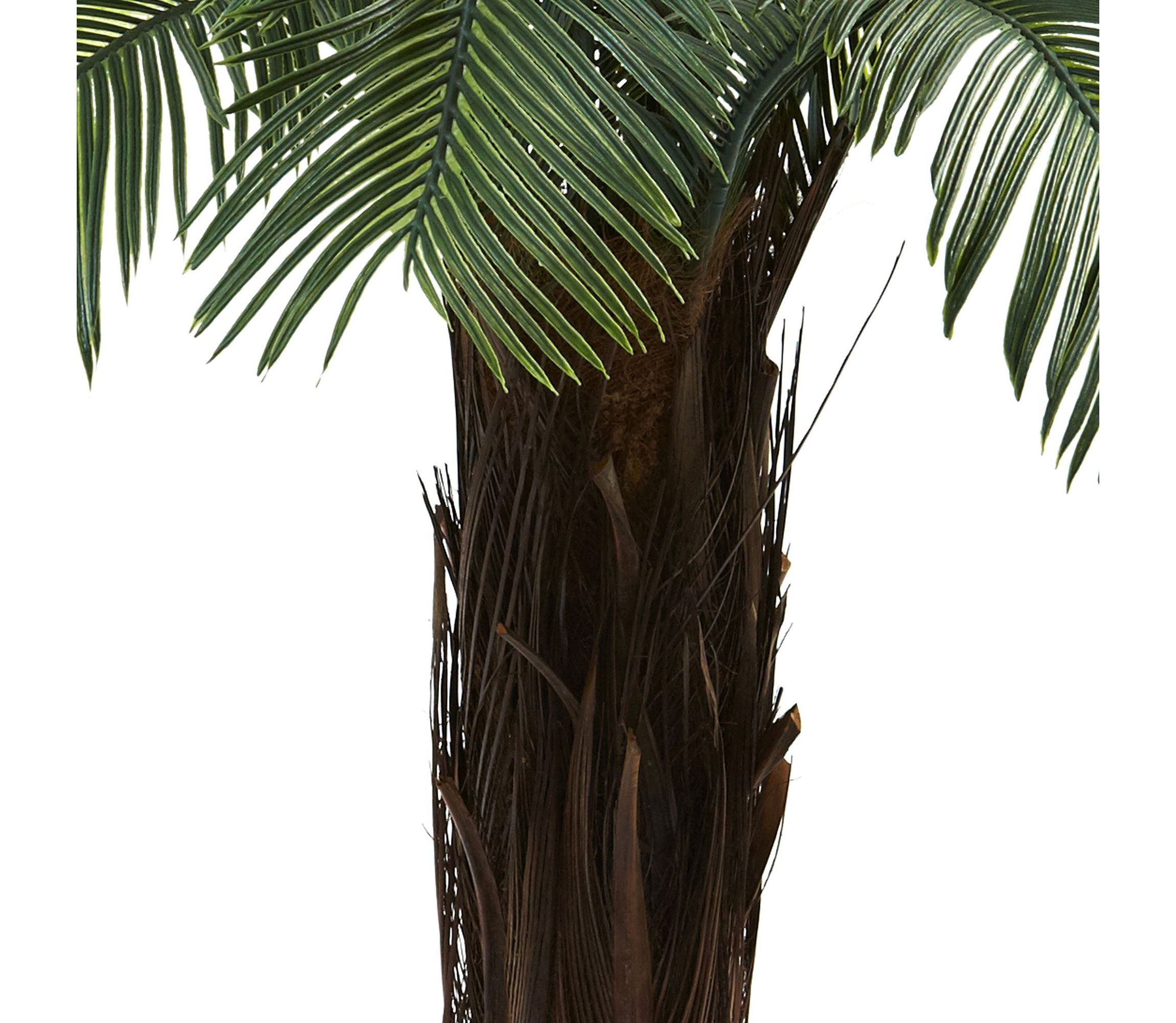 4 UV Resistant Cycas Tree - Indoor/Outdoor