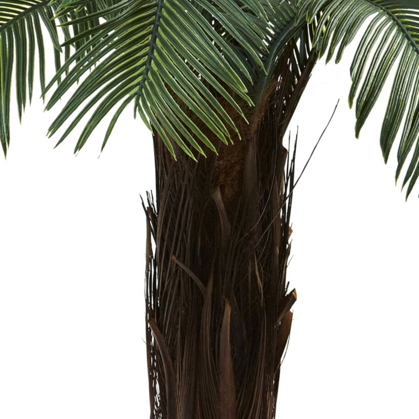 4 UV Resistant Cycas Tree - Indoor/Outdoor