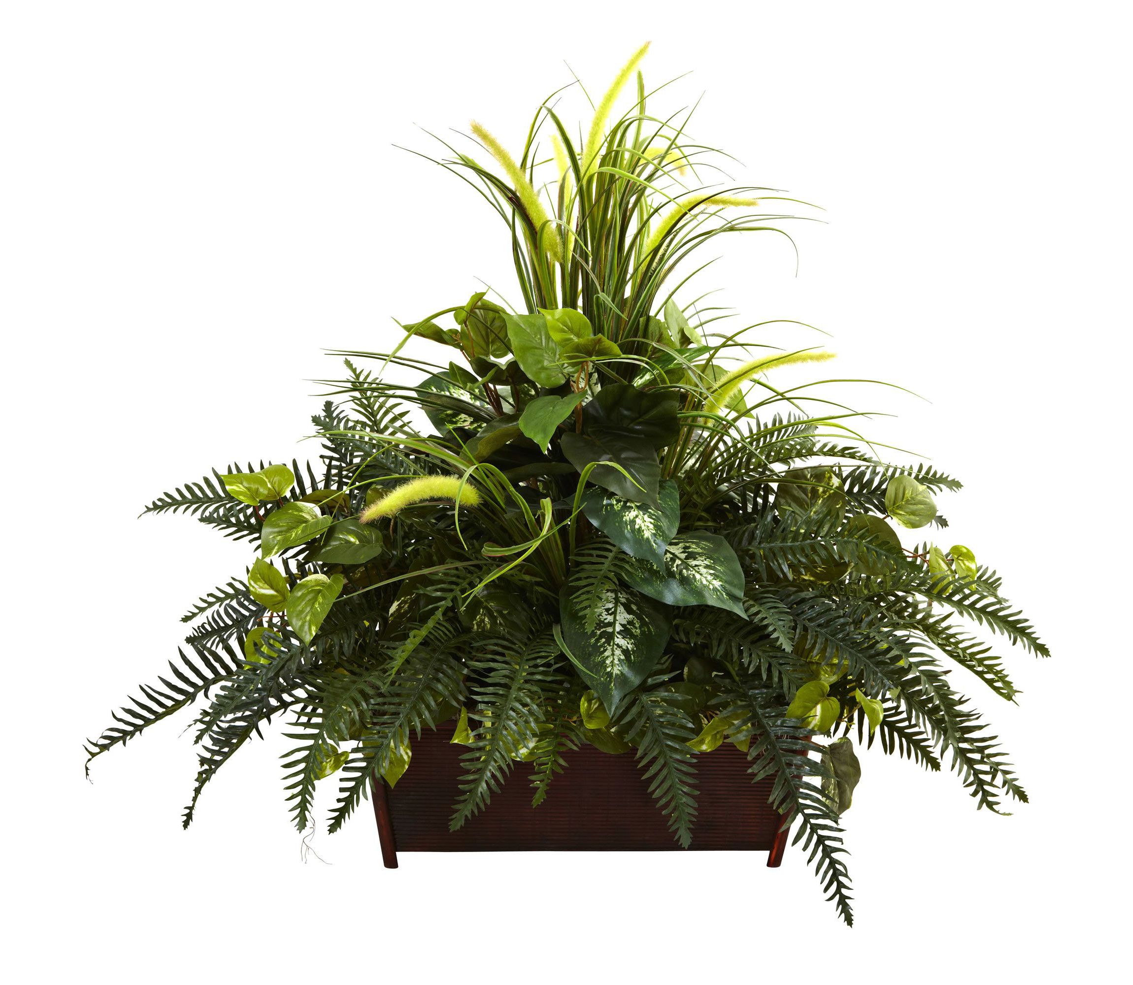 Mixed Grass and River Fern with Wood Planter