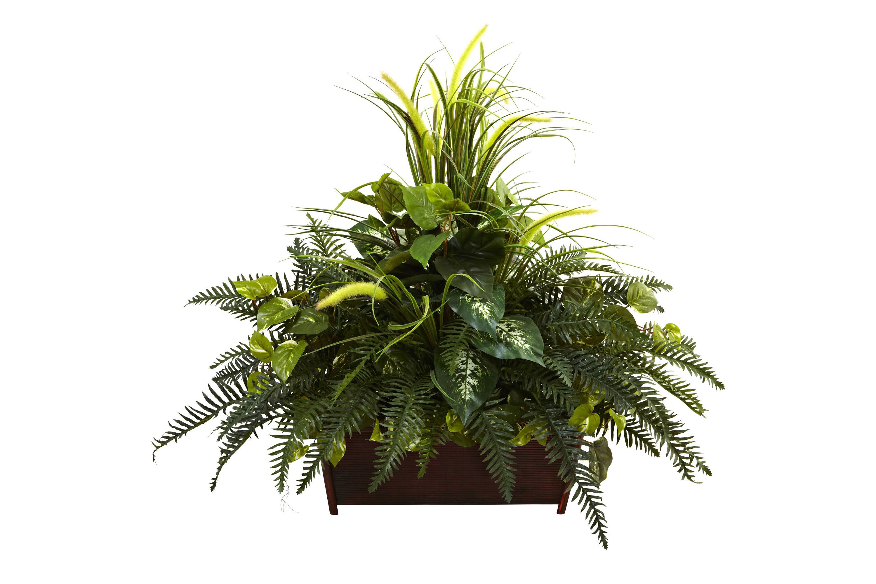 Mixed Grass and River Fern with Wood Planter