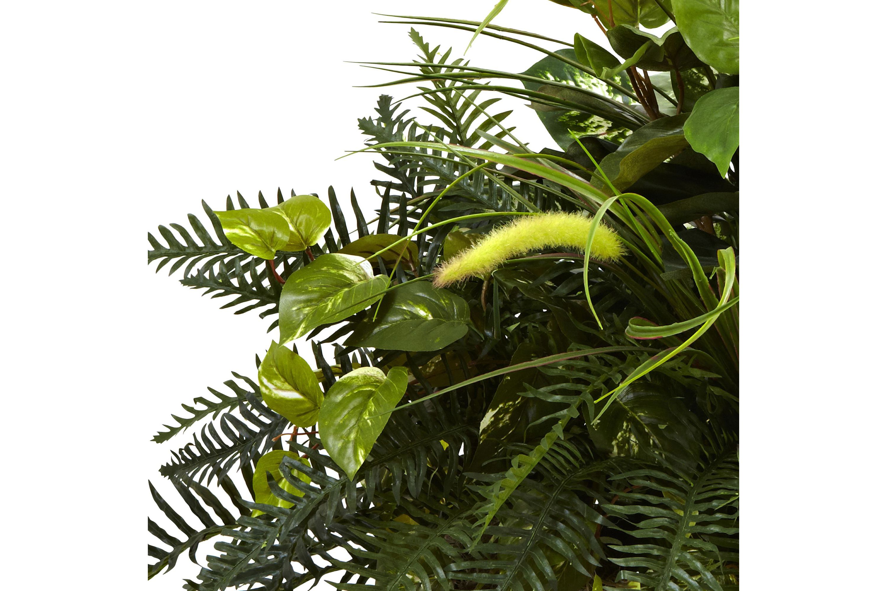 Mixed Grass and River Fern with Wood Planter