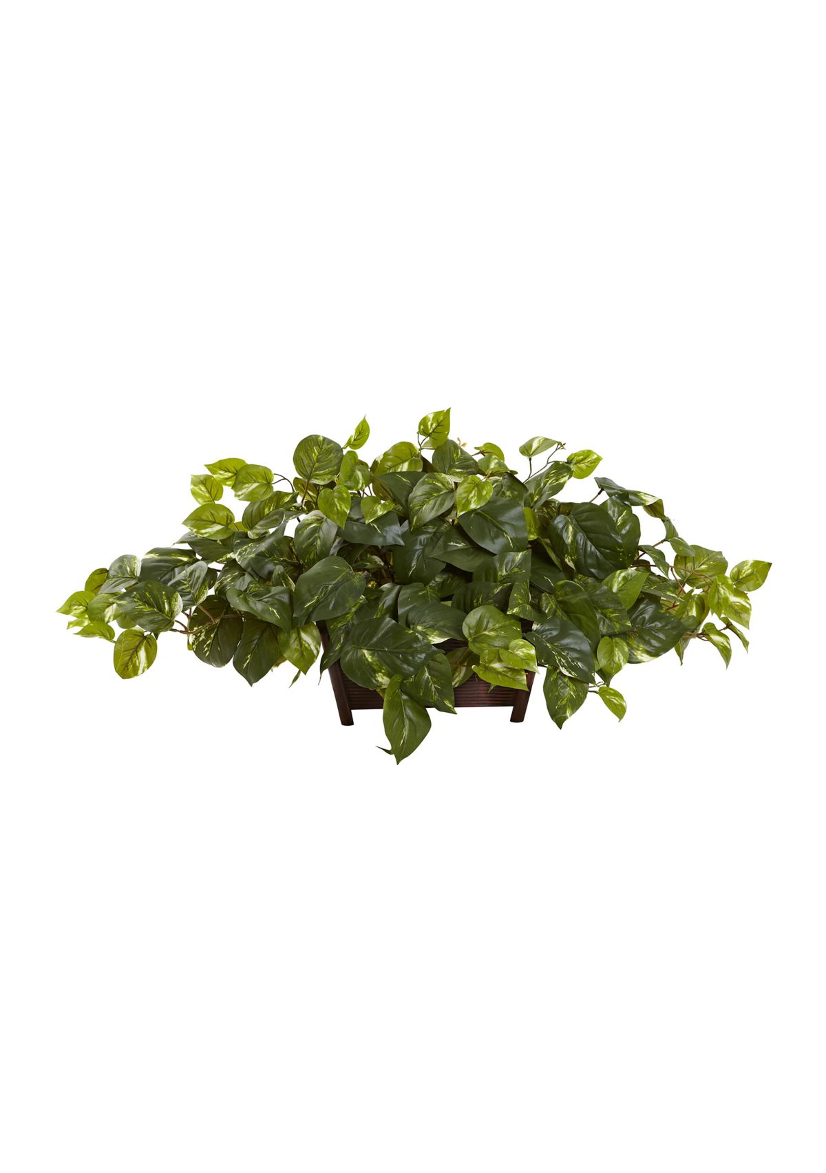 Pothos with Rectangle Decorative Planter