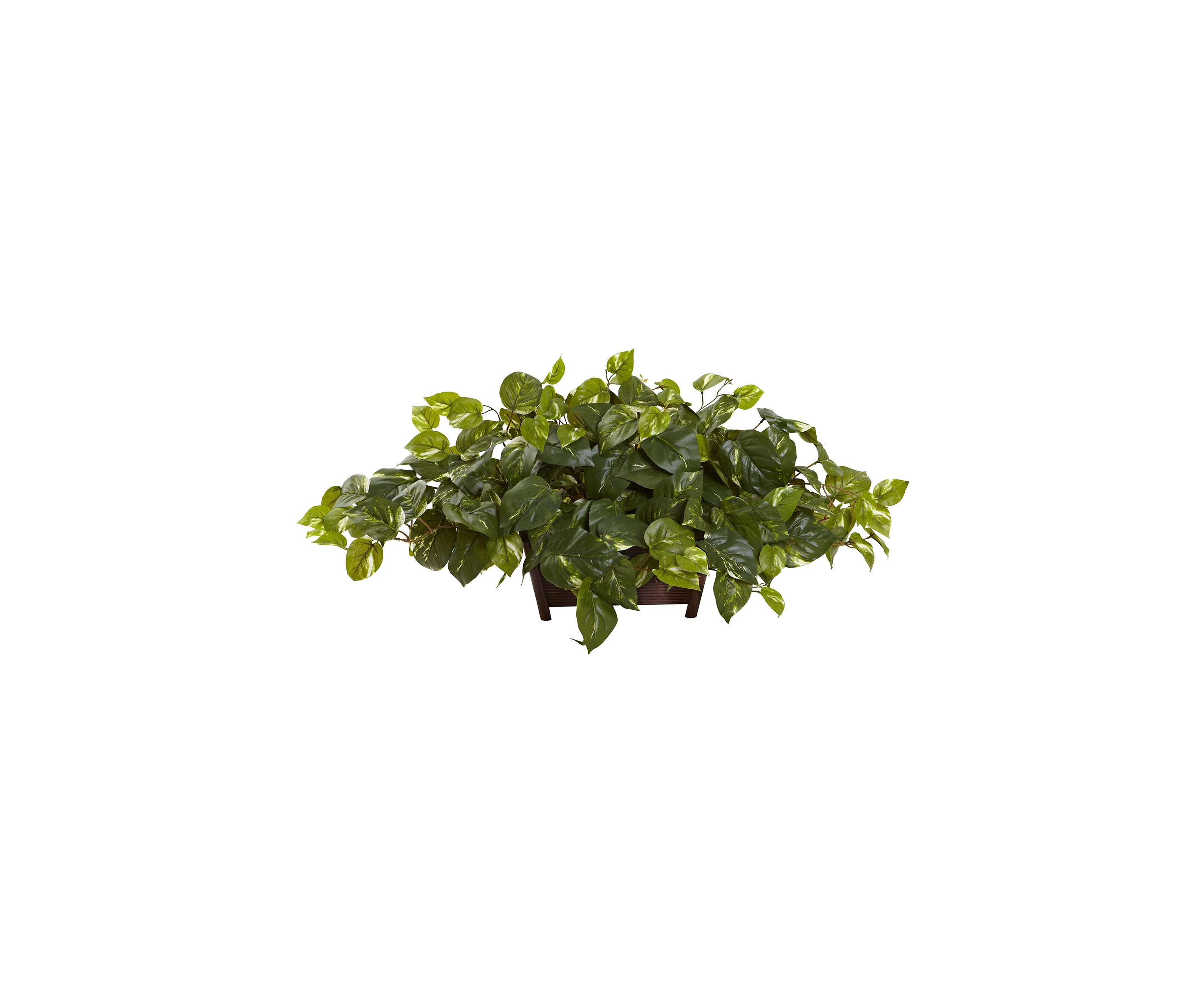 Pothos with Rectangle Decorative Planter