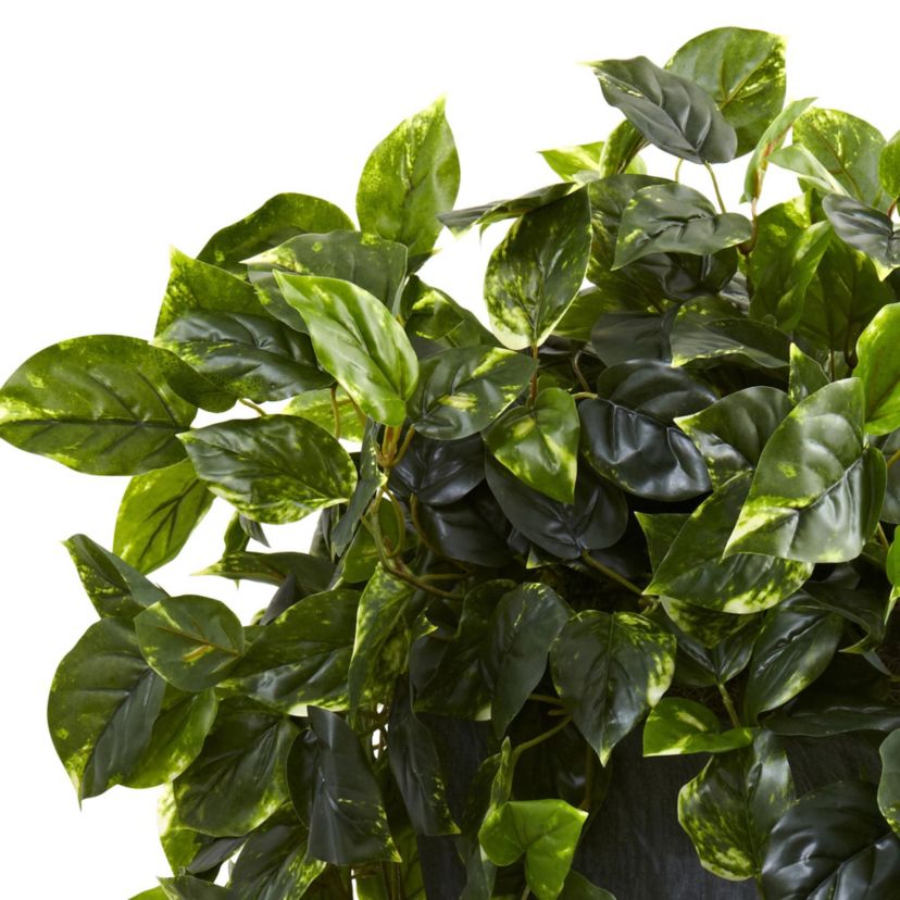 Hanging Pothos with Slate Planter UV Resistant (Indoor/Outdoor)