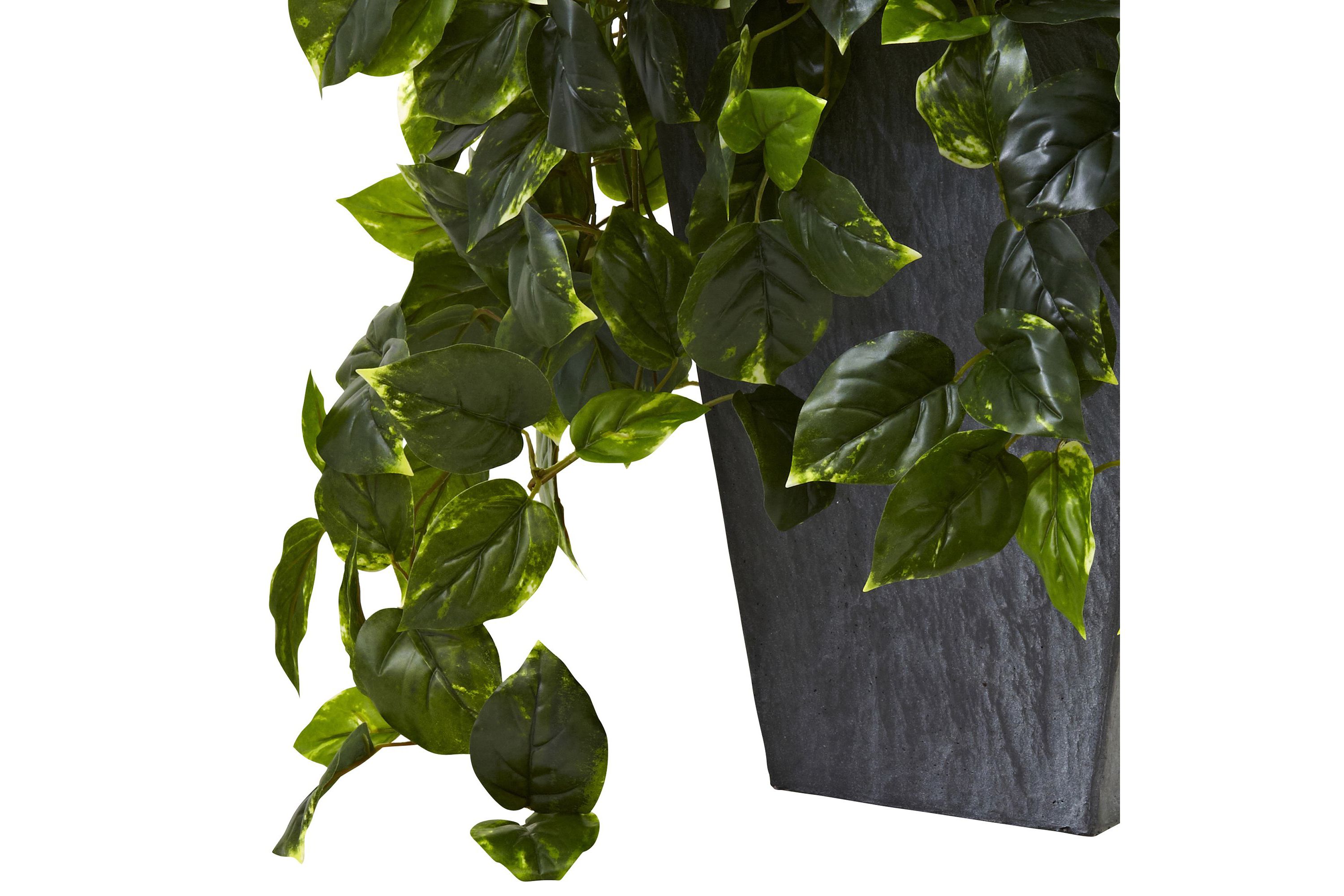 Hanging Pothos with Slate Planter UV Resistant (Indoor/Outdoor)
