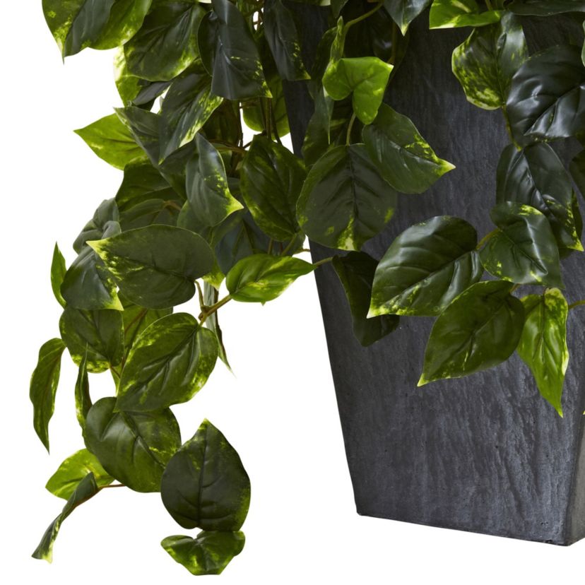 Hanging Pothos with Slate Planter UV Resistant (Indoor/Outdoor)