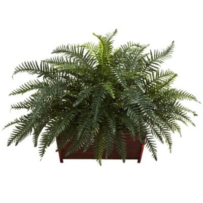 River Fern with Wood Planter