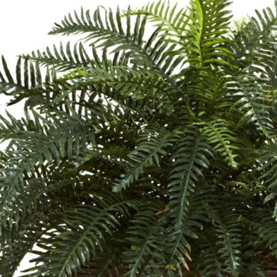 River Fern with Wood Planter