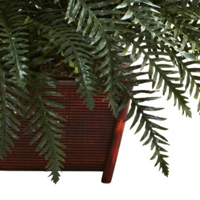 River Fern with Wood Planter