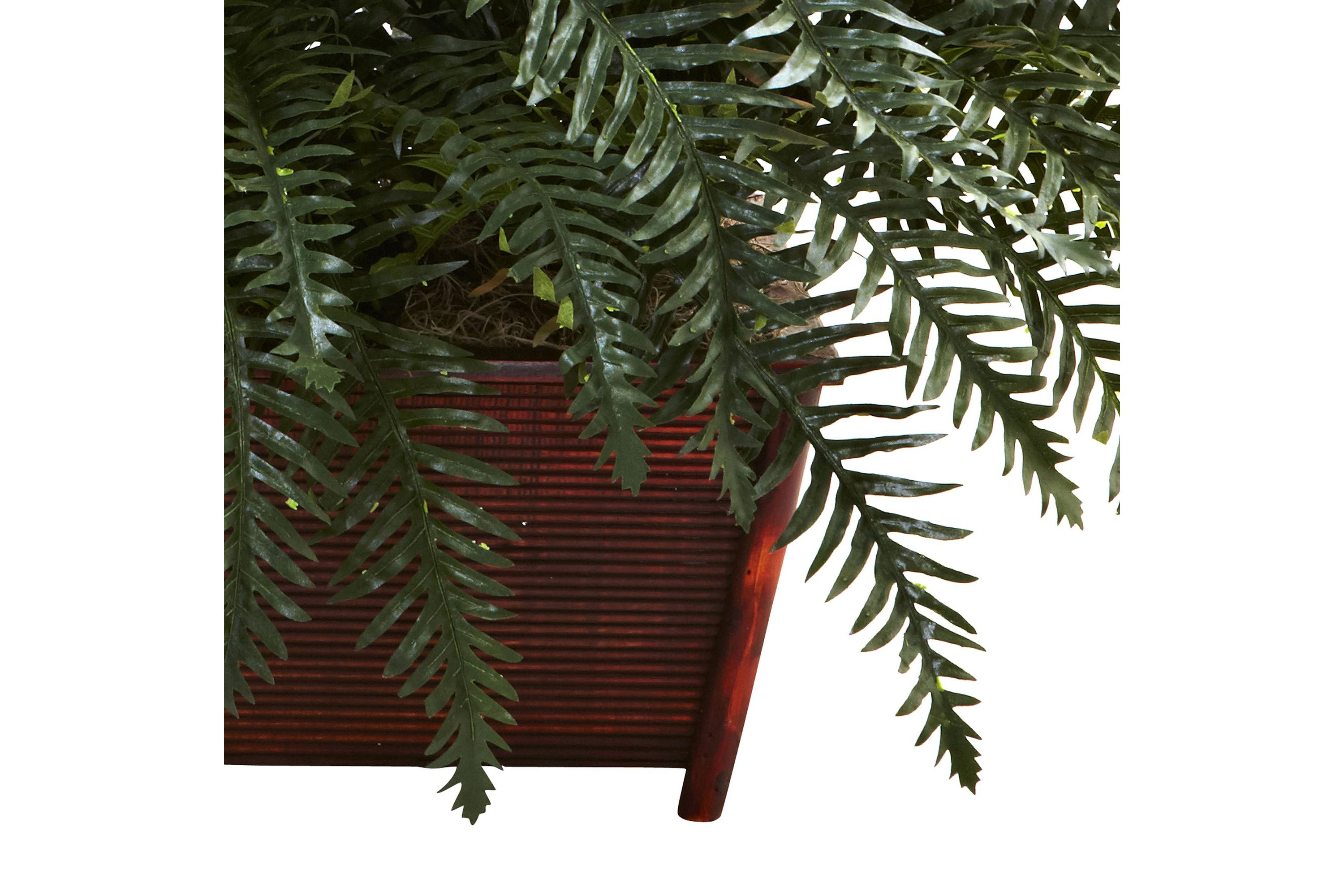 River Fern with Wood Planter